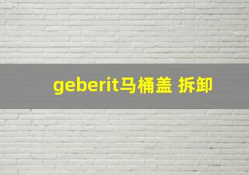 geberit马桶盖 拆卸